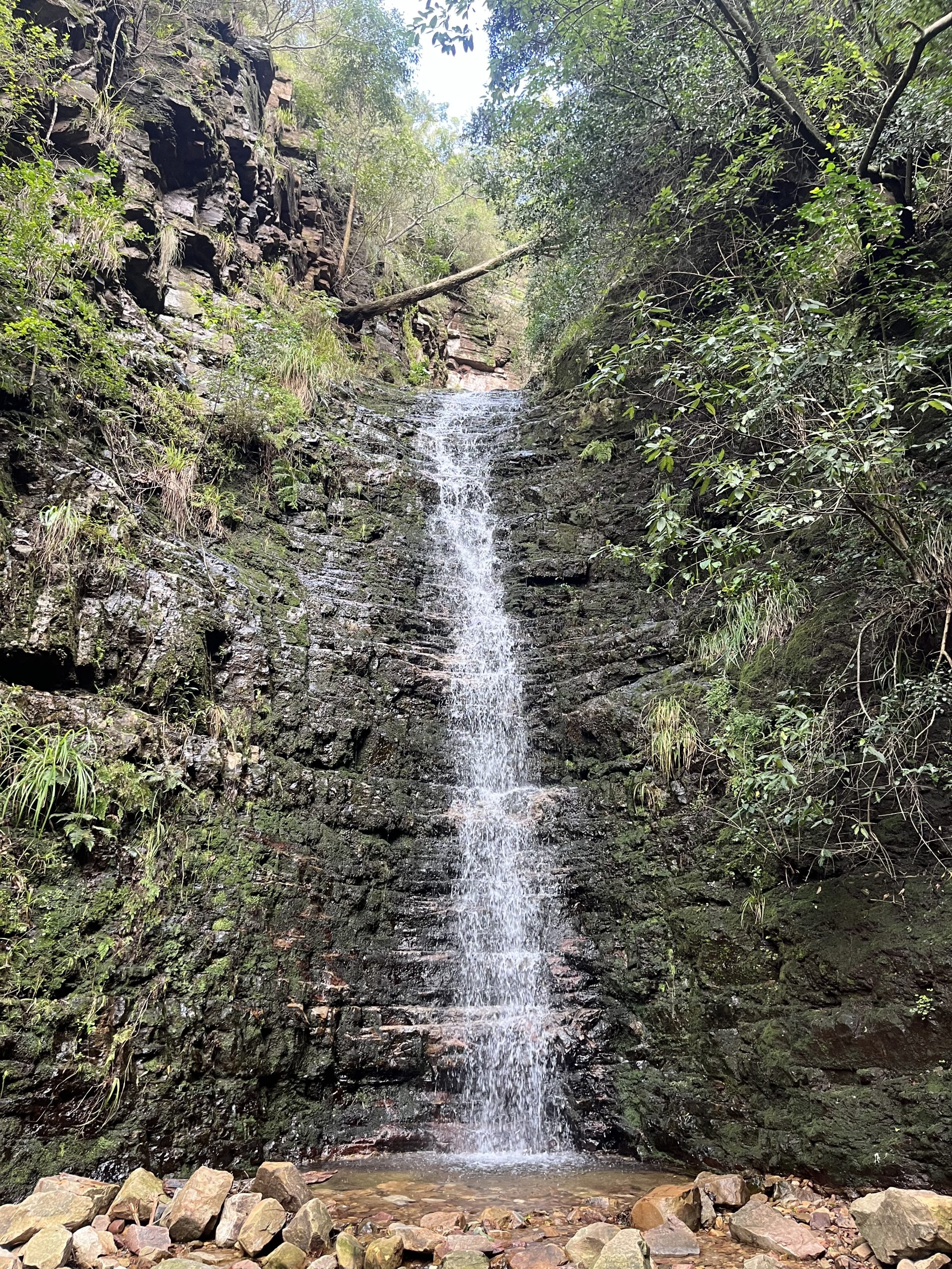 First Waterfall Newlands